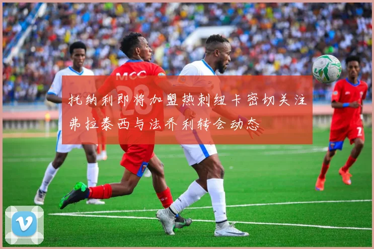 托纳利即将加盟热刺纽卡密切关注弗拉泰西与法乔利转会动态
