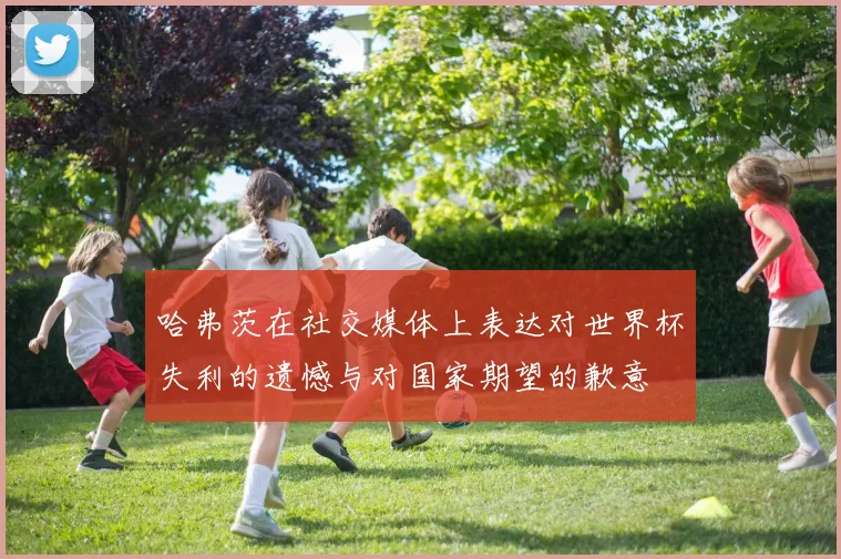 哈弗茨在社交媒体上表达对世界杯失利的遗憾与对国家期望的歉意